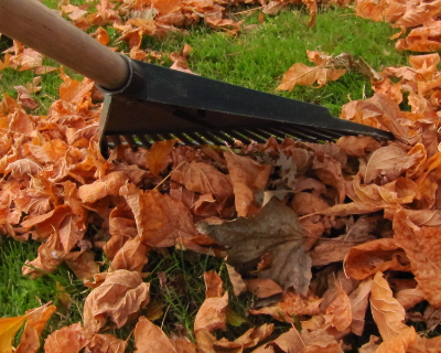 Landscaping St Catharines - Winter Landscaping Services - Yellow birdhouse in winter "cheep rent" - Fallen leaves being raked