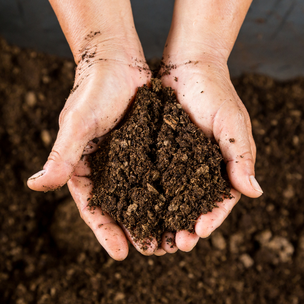 Landscaping St Catharines - Creating a Beautiful Landscape - compost held in the palms of a man
