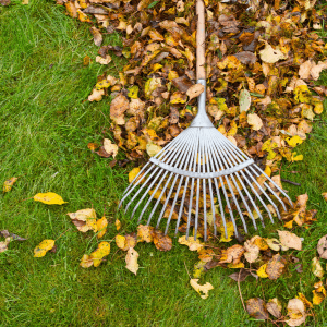 Monthly Landscaping Packages - Everything You Need to Know About Monthly Landscaping Packages - a leaf rake and a pile of fallen leaves