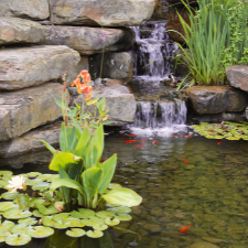 garden design St Catharines - 6 Common Landscaping Errors (and How to Avoid Them) - a mini garden pond with a waterfall and rocks backdrop