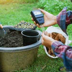 landscape design St Catharines - Choosing The Right Plants For Your Yard - a pair of gardener's hands with a pH tester testing a pot of soil