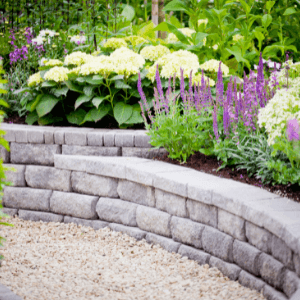 landscape design St Catharines - Choosing The Right Plants For Your Yard - a terraced gaden planted with tall salvias and mounds of white hydrangeas