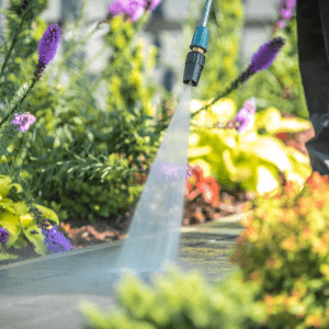 landscaping companies st catharines - Ways to Save Money on Landscaping Projects - perennials receiving water from a hose