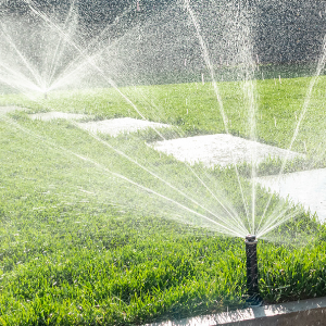 St Catharines ON lawn care - automatic sprinkler heads in operation