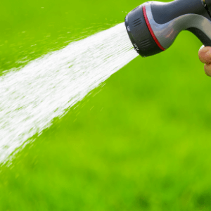 lawn care services st catharines - Proper Watering for a Healthy Lawn - a handheld water sprinkler attached to a hose