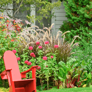 backyard landscaping - a flower border with zinnias and ornamental grass provides a backdrop for a red adirondack chair