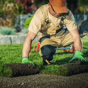 Backyard Landscaping Services St Catharines