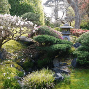 Small Space Gardening