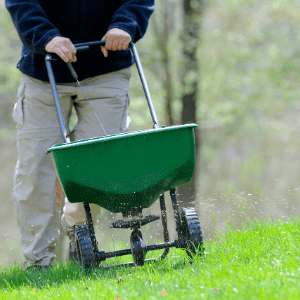 Spring Landscaping Services